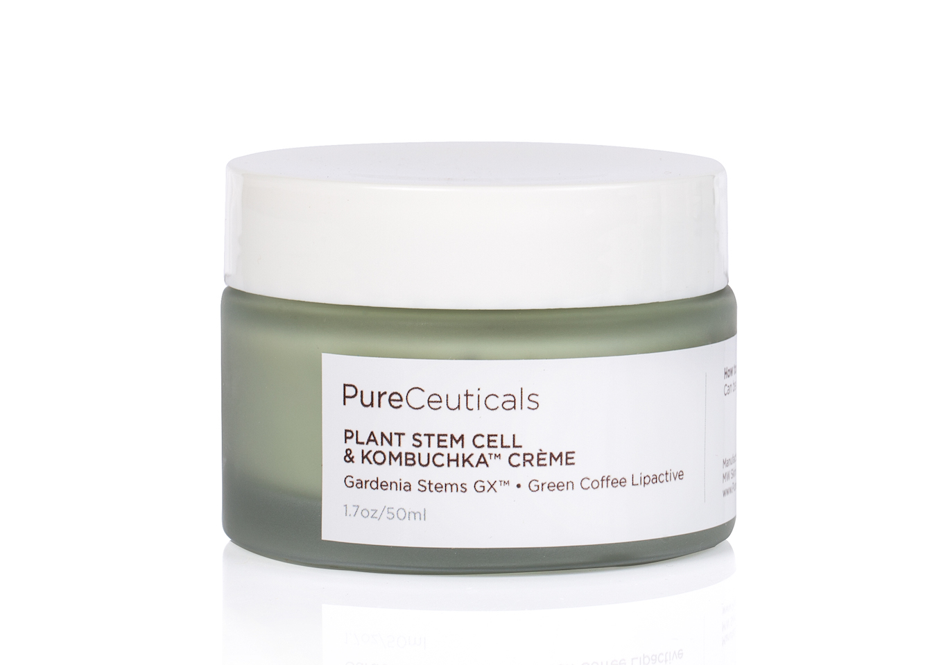 Rejuvenate with Plant Stem Cell & Kombuchka Crème